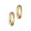 Outlet Brigitte Hoops Earrings