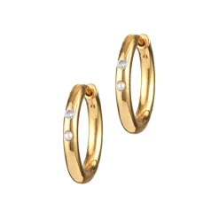 Outlet Brigitte Hoops Earrings