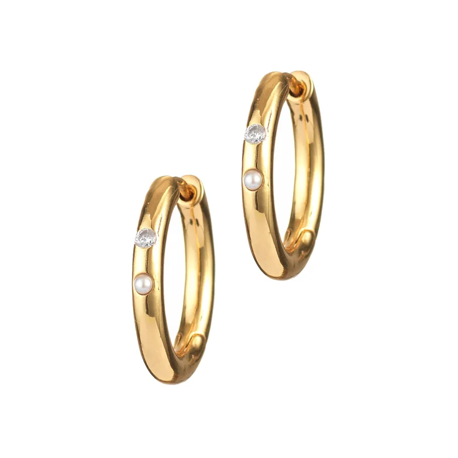 Outlet Brigitte Hoops Earrings