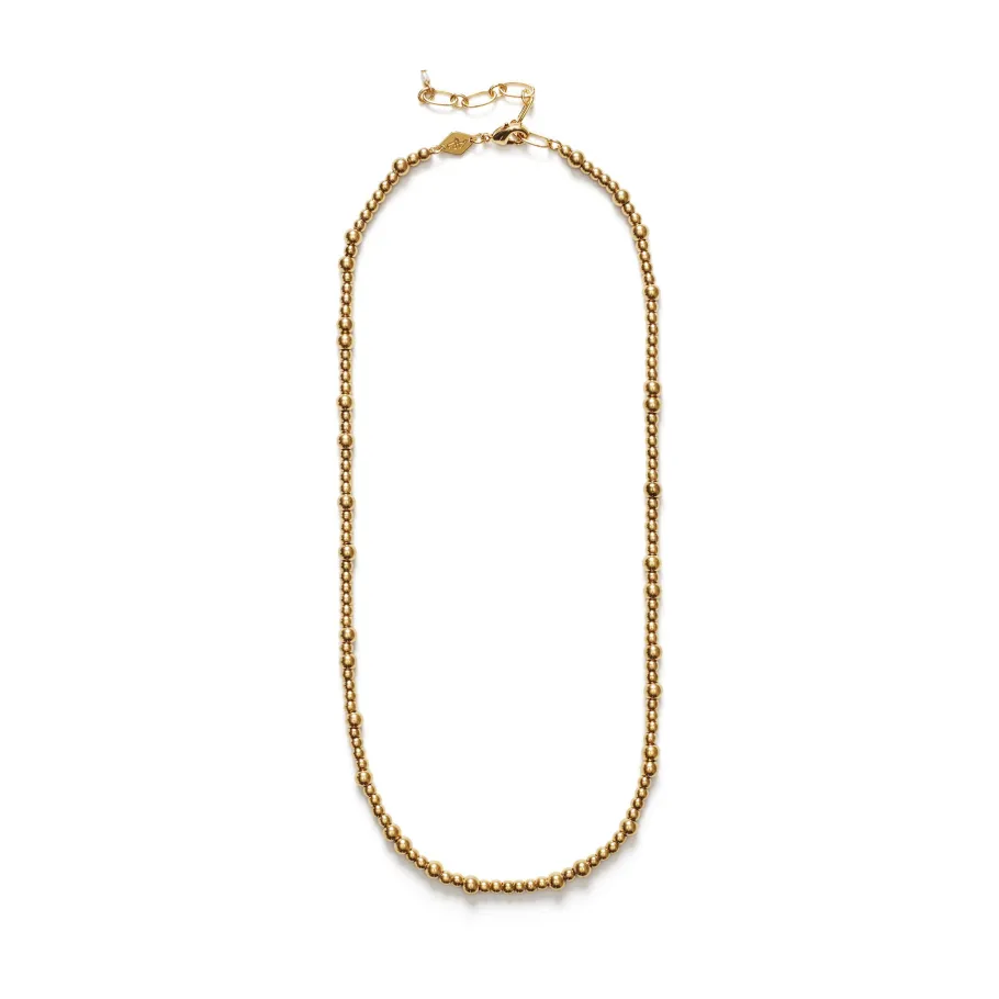 New Slim Goldie Necklace Necklaces